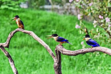 经典悬疑解谜《8番出口》获日本2024年度流行语大奖提名