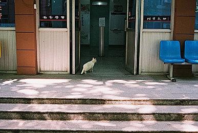 《真三国无双：起源》武器介绍：棍、双戟、偃月刀